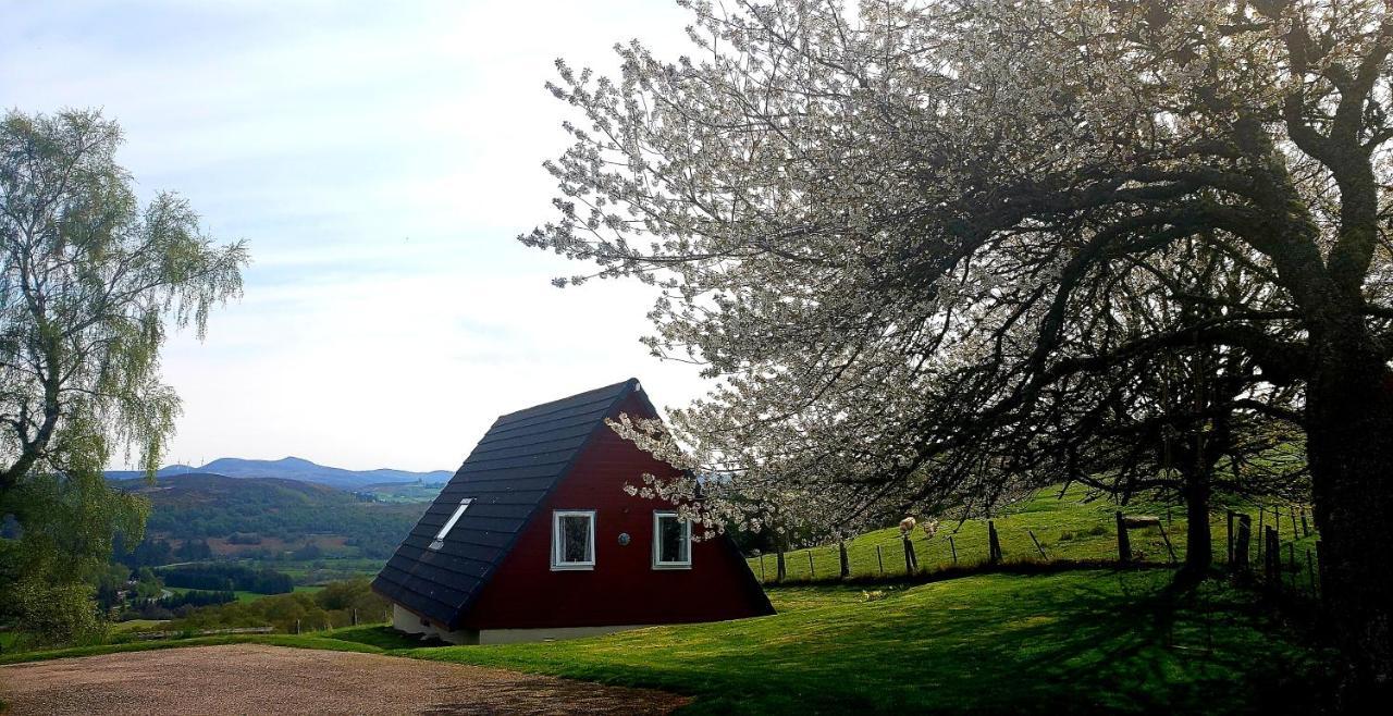 Highland Glen Lodges Rogart Экстерьер фото